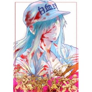 TVアニメ はたらく細胞BLACK 全巻 1-7 DVD セット : 脳トレ生活 - 通販