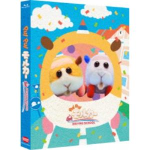 ≪初回仕様！≫ PUI PUI モルカー DRIVING SCHOOL《数量限定生産版》