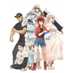 TVアニメ はたらく細胞BLACK 全巻 1-7 DVD セット : 脳トレ生活 - 通販