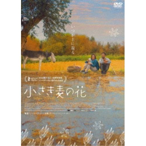 小さき麦の花 【DVD】