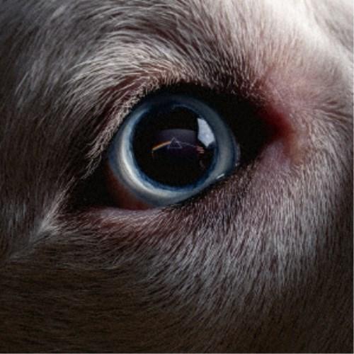 ロジャー・ウォーターズ／ダーク・サイド・オブ・ザ・ムーン・リダックス 【CD】