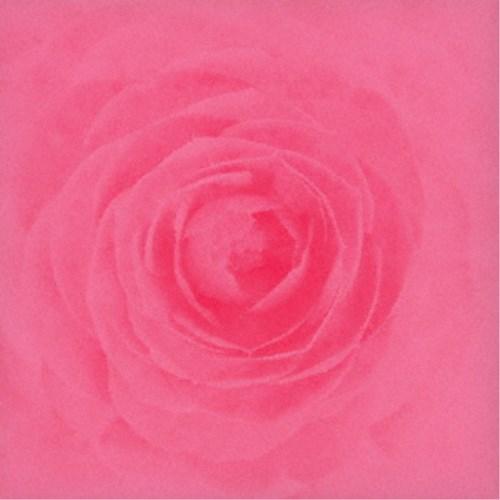 RAY／Camellia 【CD】