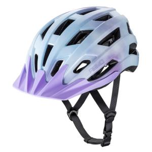 ディーバイク ヘルメット ブルーの買取情報