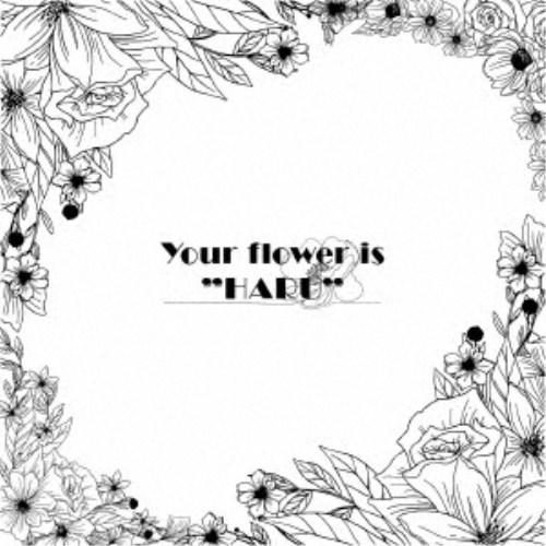 BOY MEETS HARU／Your flower is HARU 【CD】