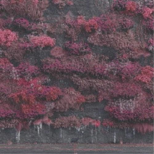 スリープ・トークン／イーヴン・イン・アーケイディア 【CD】