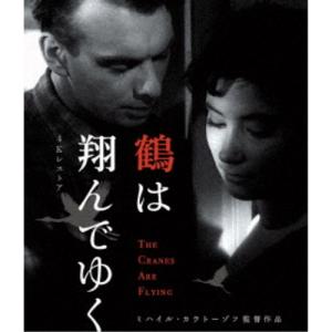 ダニエル・シュミット／マイスター・コレクション Blu-rayセット 【Blu