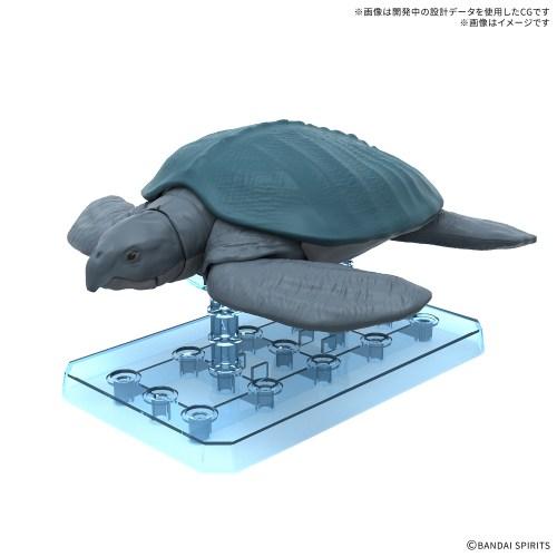 プラノサウルス ガチコセイブツ部 アーケロン (プラモデル)