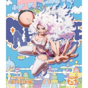 ONE PIECE ワンピース 21STシーズン エッグヘッド編 PIECE.25 【Blu-ray】