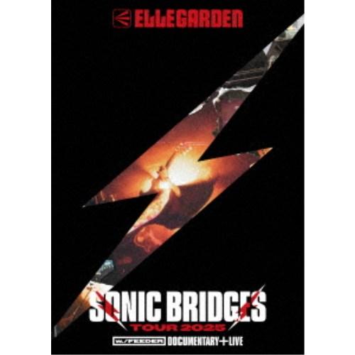 ELLEGARDEN／ELLEGARDEN SONIC BRIDGES TOUR 2025 ［w.／...