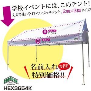 テント 3.6m×5.4m （2間×3間） アルミ製軽量フレーム 切妻 CARAVAN HEX-36...