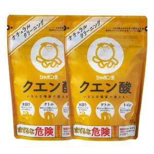 2個セット シャボン玉 石けん クエン酸 300g 無添加 ナチュラルクリーニング 酸性 水アカ 湯アカ 掃除 洗濯 ポット 洗浄 食洗機 消臭 アルカリ 常備 ストック｜エシェランド オーガニック