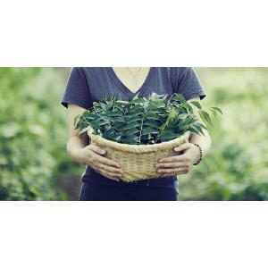 8個セット にしきや 野菜のカレー&かけごはん...の詳細画像5