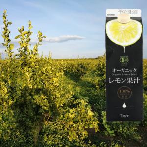 3本セット テルヴィス 有機果汁 3種 ( レ...の詳細画像1