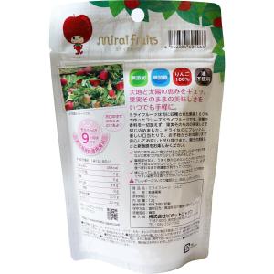 2個セット ミライフルーツ りんご 12g フ...の詳細画像1