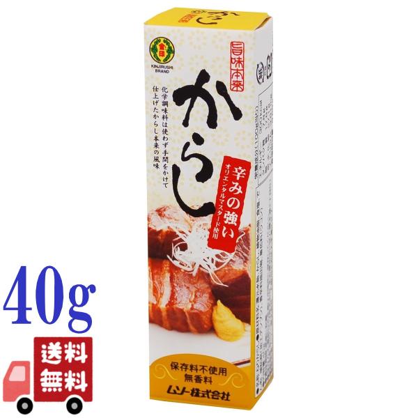 3個セット ムソー 旨味本来 からし チューブ入り 40g 国産 原料使用 無添加 香料・着色料不使...