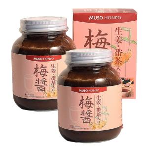 2個セット 無双本舗 生姜番茶入り 梅醤 250g 有機JAS 原料使用 国産梅干し 熟成醤油 龍神梅 三年番茶 生姜 配合 マクロビオティック 養生食 ペースト 無添加