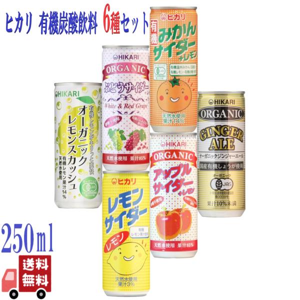 12本セットヒカリ 有機 炭酸飲料 6種 ( みかん・レモン・ぶどう・ アップル・ジンジャーエール・...