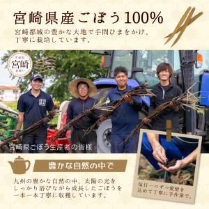 ごぼう茶 国産 100% 2.5g×60包入 ...の詳細画像4