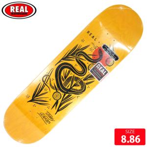 スケボー デッキ リアル REAL WILKINS MUDGETT DECK SIZE 8.86 スケートボード SKATEBOARD 23SM｜eshop