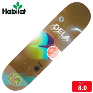 Lesque skateboards（レスケ スケートボード） SLD スケートボード
