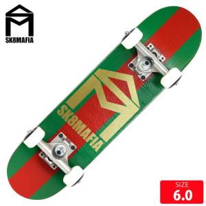 スケボー スケートボード を自転車に簡単装着 FAIRDALE SKATE RACK