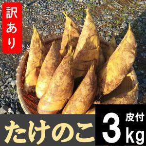 国産たけのこ訳あり3kg皮付 鹿児島県産 国産たけのこ 産地直送 掘りたて新鮮をお届け
