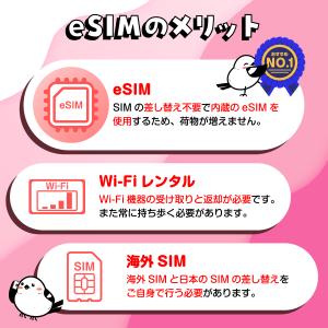 【韓国eSIM】2日間/データ無制限/SKTe...の詳細画像5