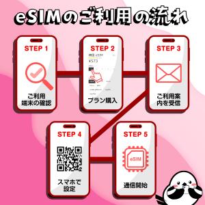 【韓国eSIM】2日間/データ無制限/SKTe...の詳細画像4