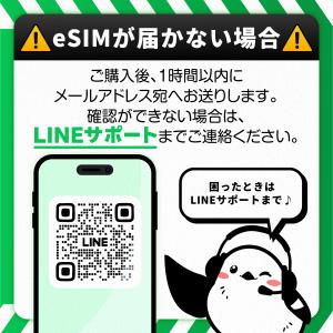 アメリカ&ハワイeSIM:使用日数:6日間/デ...の詳細画像2