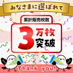 アメリカ&ハワイeSIM:使用日数:9日間/デ...の詳細画像1