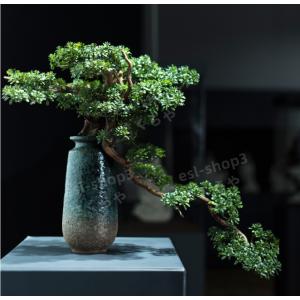 幅50cmフェイク盆栽 盆栽 松 人工盆栽 フェイクグリーン 造花 高品質 大 楽天市場】盆栽 松 大型 フェイクグリーン おしゃれ 人気 造花