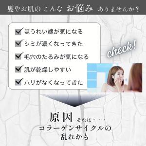 コラーゲンゼリー プリムラスター 30本 1本...の詳細画像2