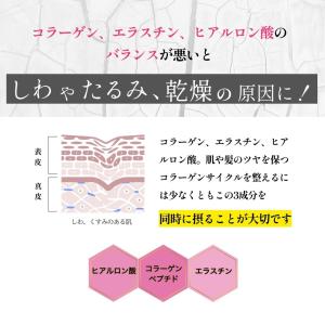コラーゲンゼリー プリムラスター 30本 1本...の詳細画像4