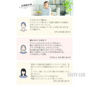 【正規品】2024 最新 電気毛布 掛け敷き兼...の詳細画像3