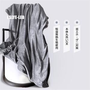 【正規品】2024 最新 電気毛布 掛け敷き兼...の詳細画像4