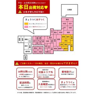 【きょうつく/あすつく対応】ラッピング無料 任...の詳細画像2