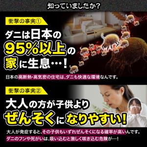 さよならダニー 4枚セット ダニ捕りシート ダ...の詳細画像3
