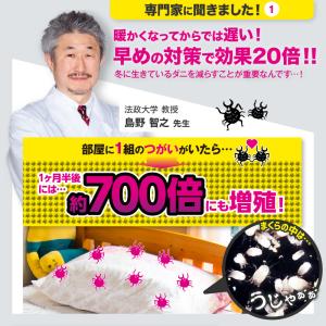 さよならダニー 4枚セット ダニ捕りシート ダ...の詳細画像4