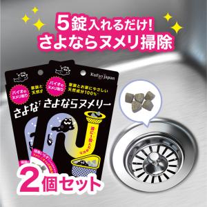 キッチン ヌメリ掃除 送料無料【さよならヌメリー 60錠 2個セット】 排水口 排水溝 ヌメリ ヌメリ取り ニオイ 臭い 浴室 水周り 天然成分 バイオ