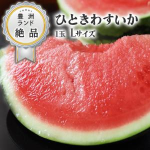 【種なし】千葉県 ひときわすいか Lサイズ【お中元 熨斗対応】 すいか 西瓜 大玉 フルーツ プレゼント 豊洲 家庭用 送料無料