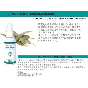 【ユーカリグロブルス】天然アロマ除菌抗菌マスク用スプレー 60ml 1本 ウイルス細菌カビ対策 アル...