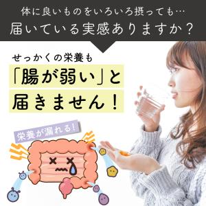 ＼乳酸菌1兆個配合/漢方屋が創った香ばし黒豆茶...の詳細画像3