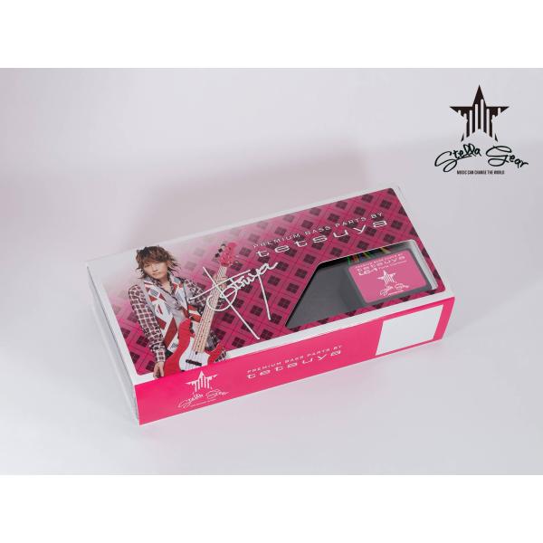 Stella Gear  tetsuya LC-1 (Tone Circuit)