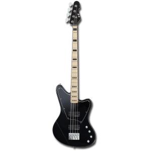 ESP E-II AP-4 / See Thru Black : ESP-BIGBOSSヤフー店 - 通販