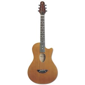 ESP/Charプロデュース BambooInn-C バンブーイン : 楽器de元気 - 通販