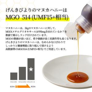 マヌカハニー MGO514+ UMF15+ げ...の詳細画像5