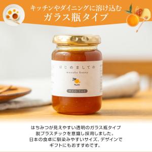 マヌカハニー MGO260 UMF10+ はじ...の詳細画像5