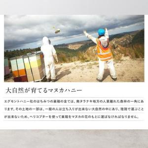 マヌカハニー UMF10+ MGO265+相当...の詳細画像5