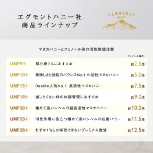 マヌカハニーUMF20+ MGO829+相当 ...の詳細画像4
