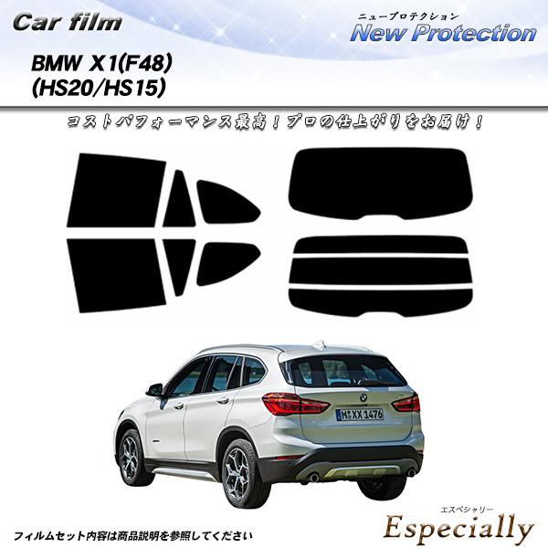 BMW X1 (F48) (HS20/HS15) ニュープロテクション カット済みカーフィルム リア...
